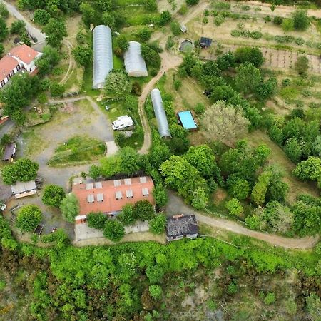 Agriturismo Ca Du Chittu Carro Dış mekan fotoğraf