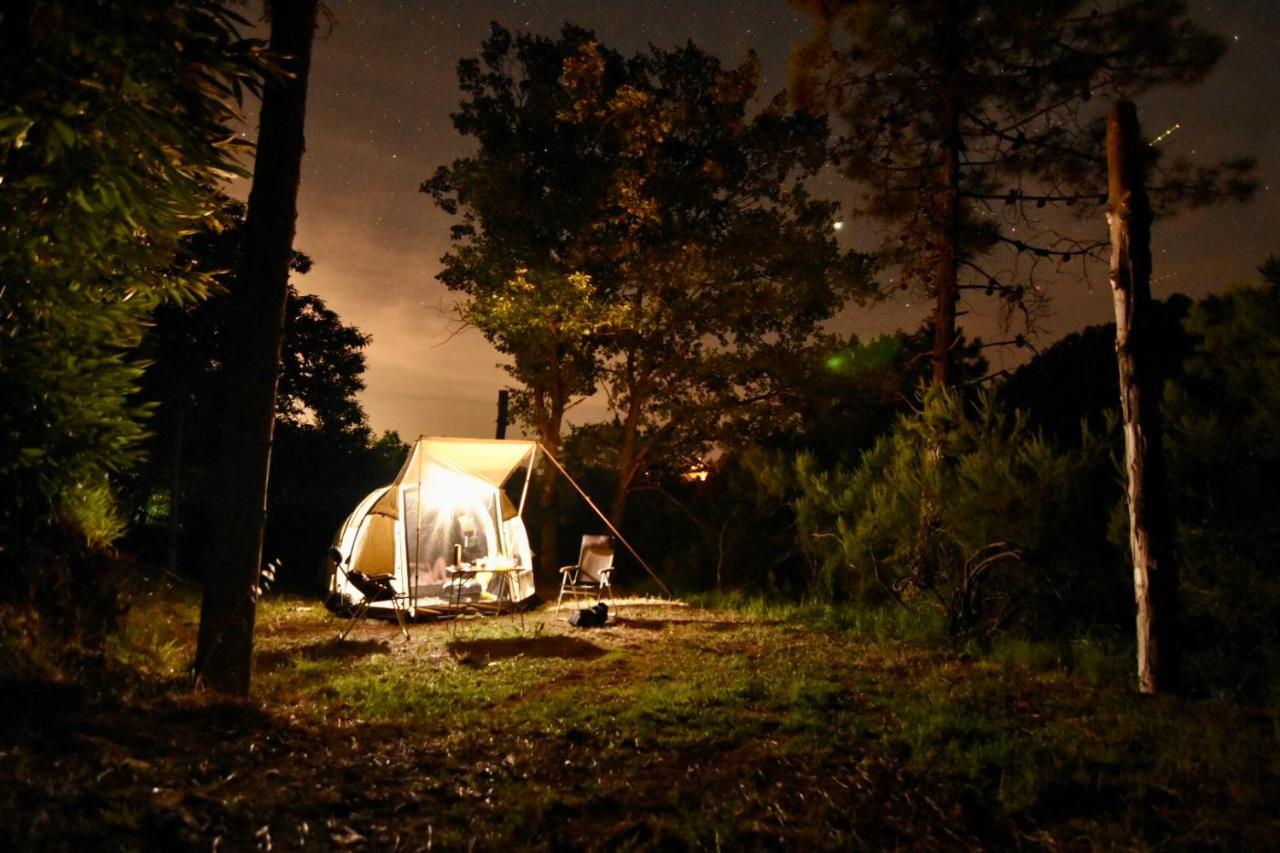 Agriturismo Ca Du Chittu Carro Dış mekan fotoğraf