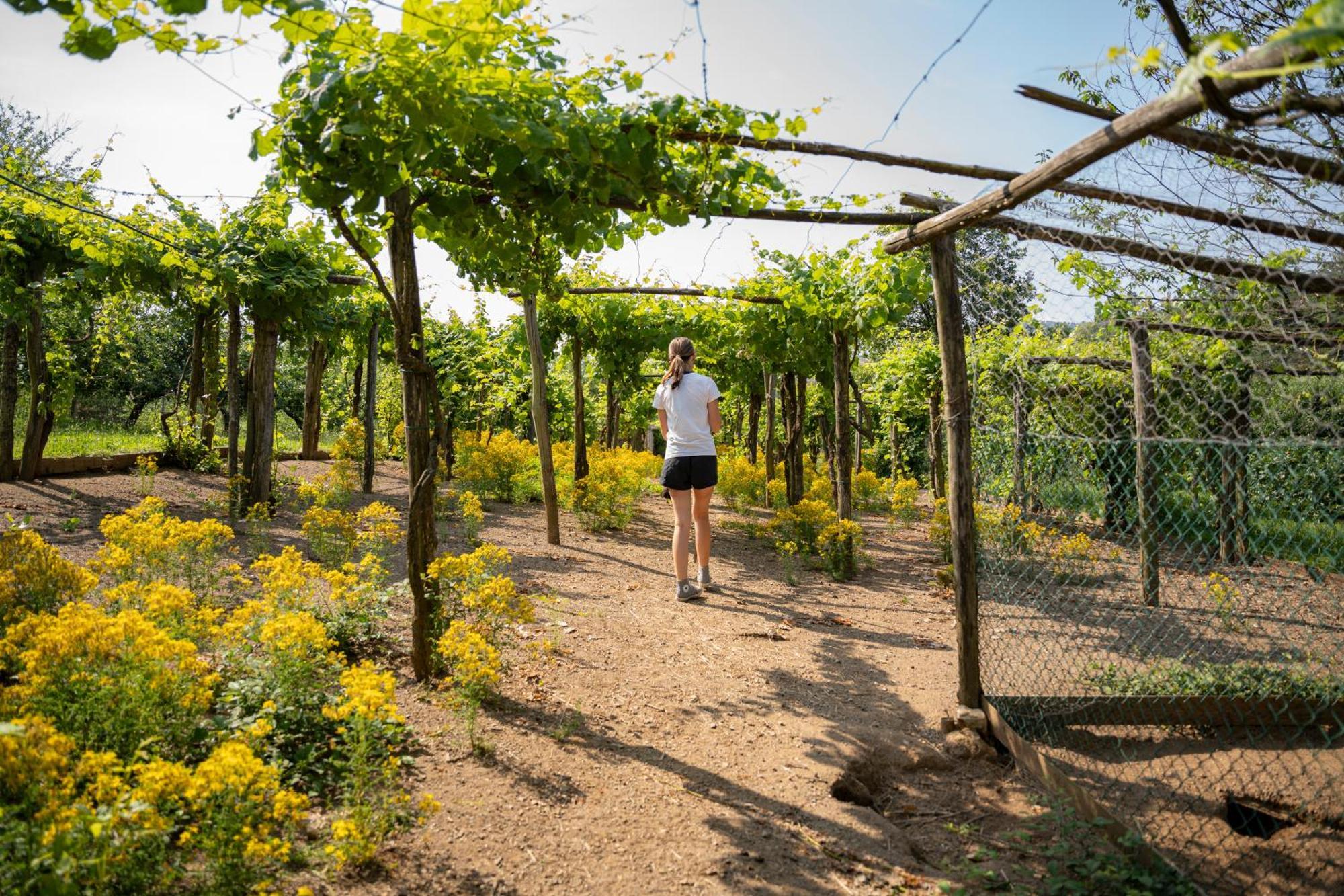 Agriturismo Ca Du Chittu Carro Dış mekan fotoğraf