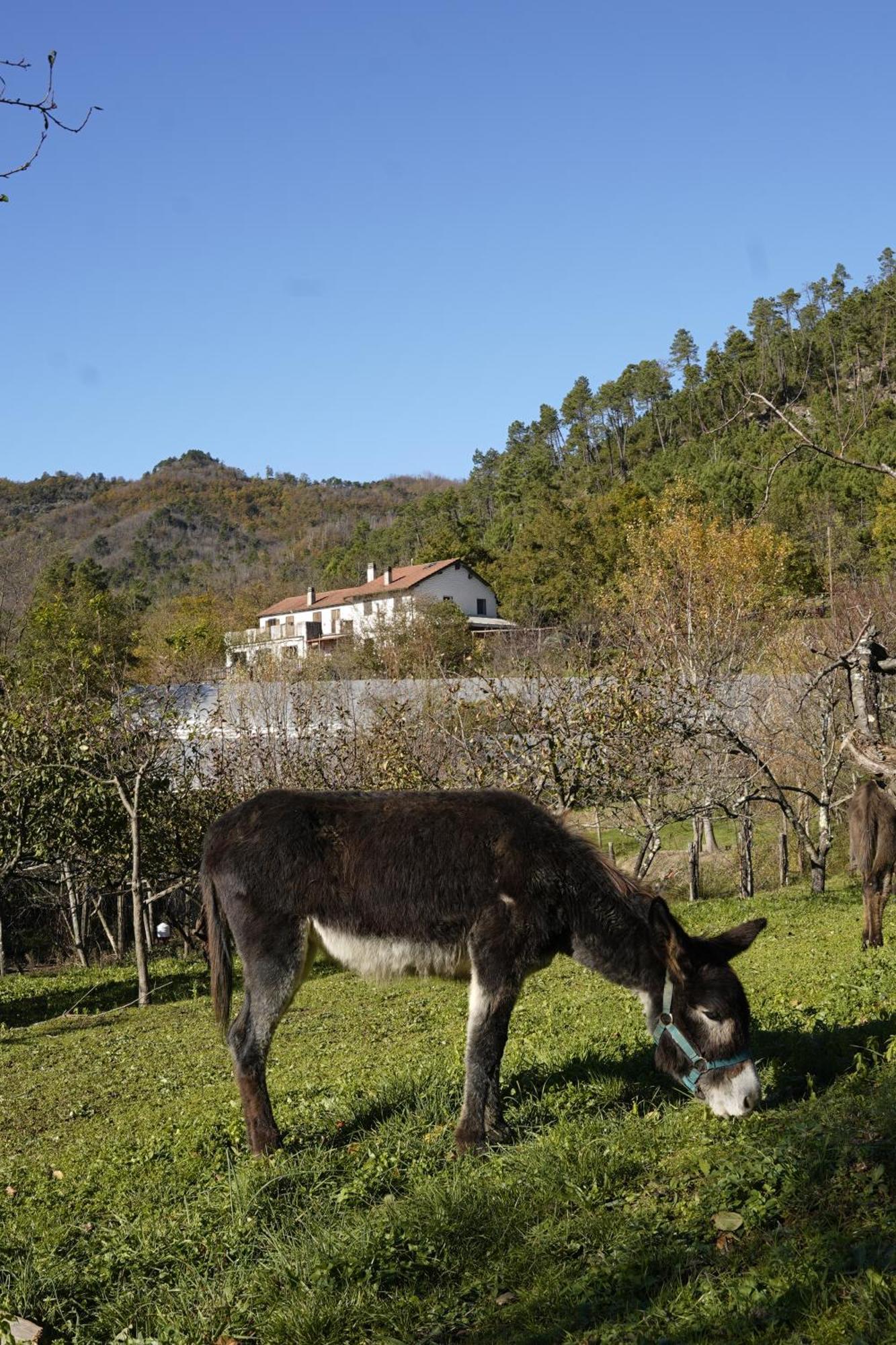 Agriturismo Ca Du Chittu Carro Dış mekan fotoğraf