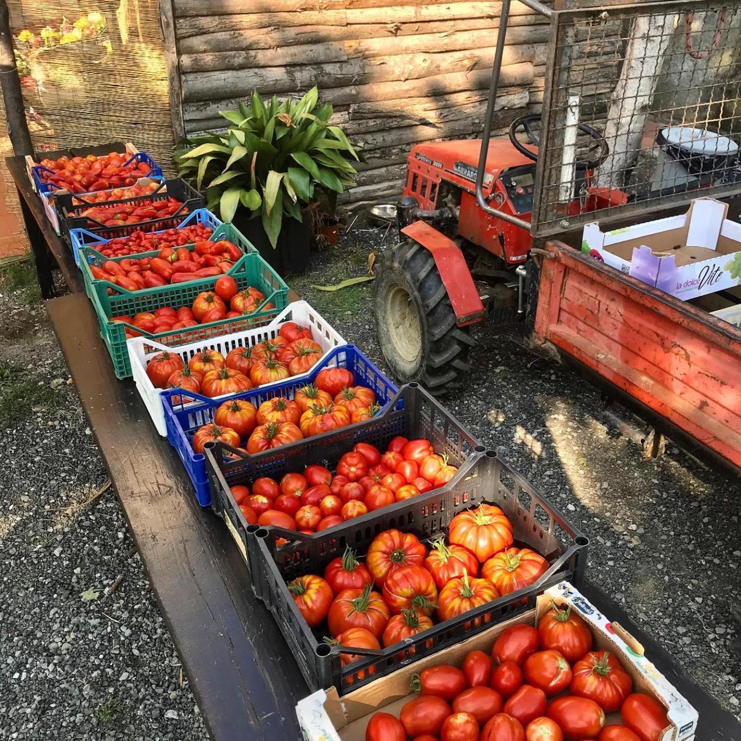 Agriturismo Ca Du Chittu Carro Dış mekan fotoğraf
